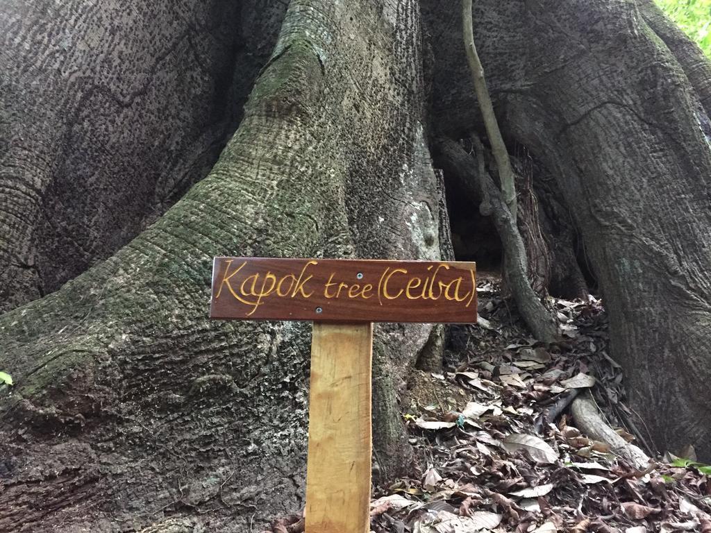 Willa Puri Mas Osa Eco-Retreat Barrigones Zewnętrze zdjęcie